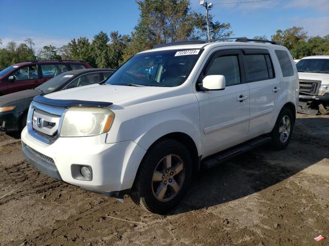 HONDA PILOT EXL 2009 with VIN 5FNYF38689B015484 - Photo from auction