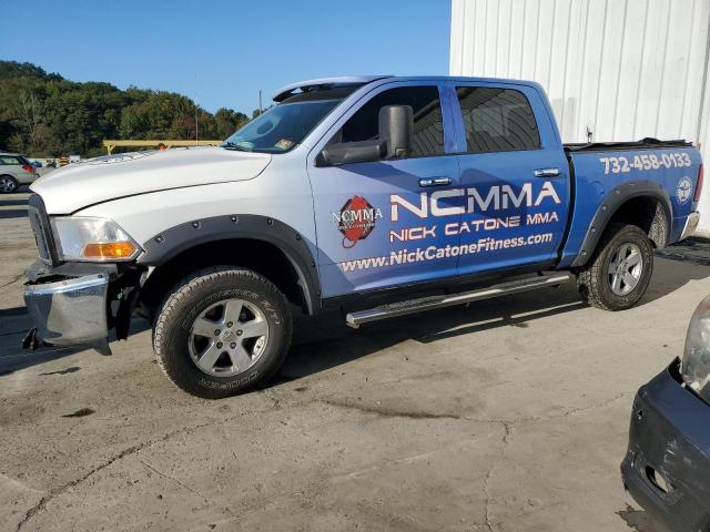 DODGE RAM 1500 2011 with VIN 1D7RV1CPXBS502258 - Photo from auction