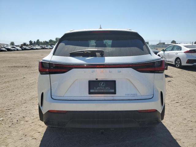 Photo 6 from auction – 2024 LEXUS NX 250 BAS with VIN JTJADCAZ6R5013811