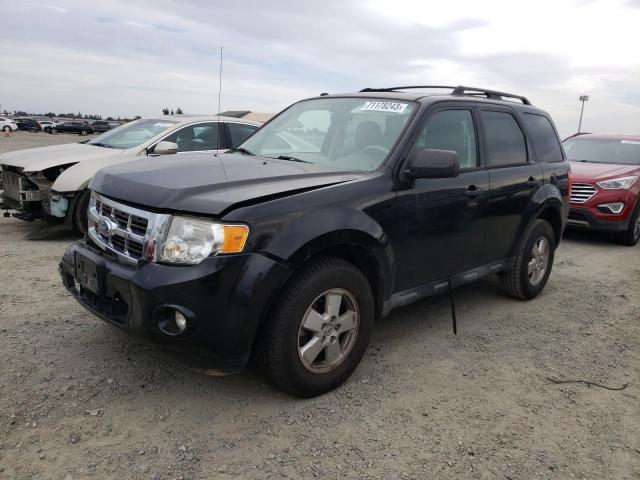 FORD ESCAPE XLT 2011 with VIN 1FMCU0DGXBKB88103 - Photo from auction