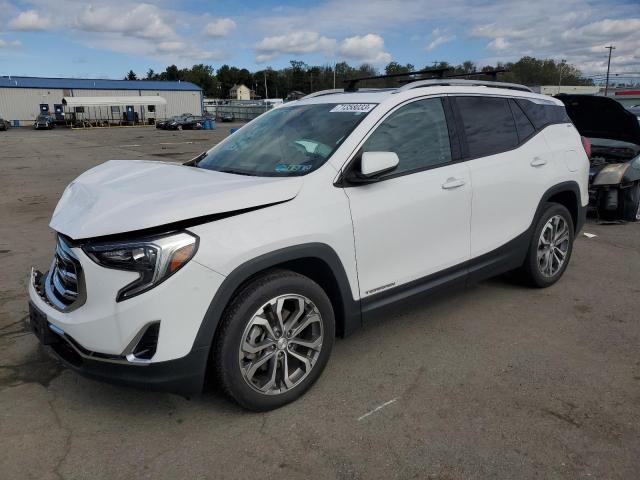 GMC TERRAIN SL 2019 with VIN 3GKALVEX4KL371798 - Photo from auction