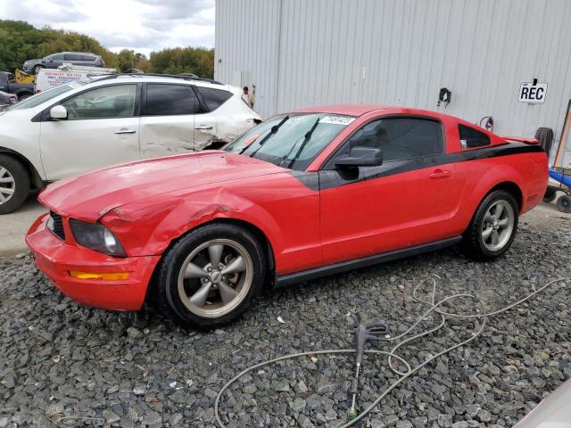 Photo 1 from auction – 2007 FORD MUSTANG with VIN 1ZVFT80N075254040