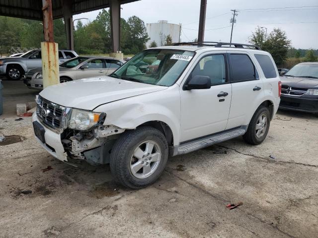 FORD ESCAPE XLT 2011 z numerem VIN 1FMCU0DG5BKA31241 - Zdjęcie z aukcji