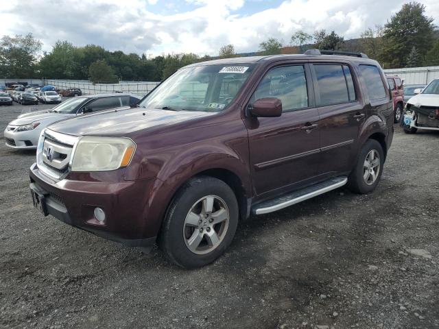 HONDA PILOT EXL 2010 with VIN 5FNYF4H65AB013783 - Photo from auction
