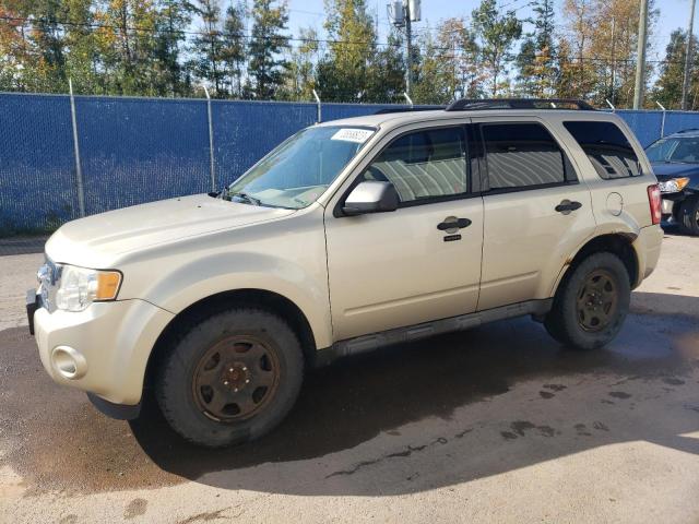 FORD ESCAPE XLT 2010 with VIN 1FMCU9D74AKA29029 - Photo from auction