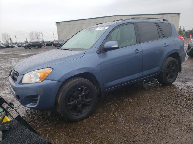 TOYOTA RAV4 2011 with VIN 2T3BF4DV5BW146414 - Photo from auction