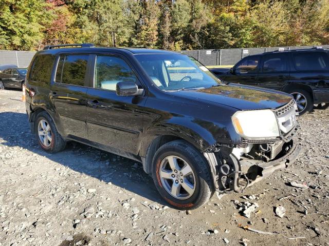 Photo 4 from auction – 2009 HONDA PILOT EXL with VIN 5FNYF48539B033338