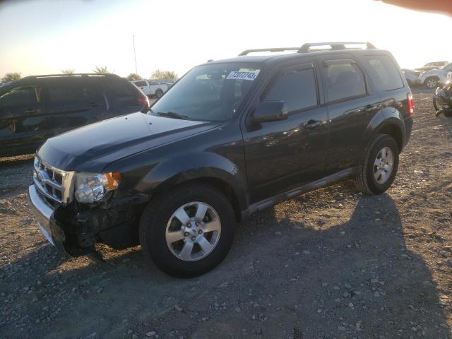 FORD ESCAPE LIM 2009 with VIN 1FMCU04G59KB89007 - Photo from auction