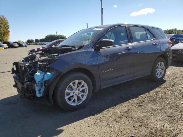 CHEVROLET EQUINOX LS 2019 with VIN 3GNAXHEV7KL274523 - Photo from auction