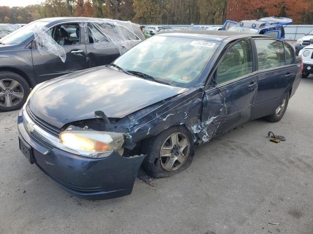 CHEVROLET MALIBU LS 2004 with VIN 1G1ZT52864F134795 - Photo from auction