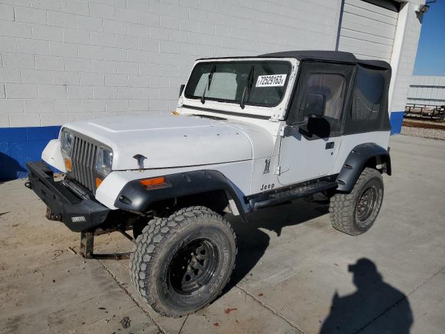 JEEP WRANGLER / 1992 with VIN 2J4FY39S6NJ559261 - Photo from auction
