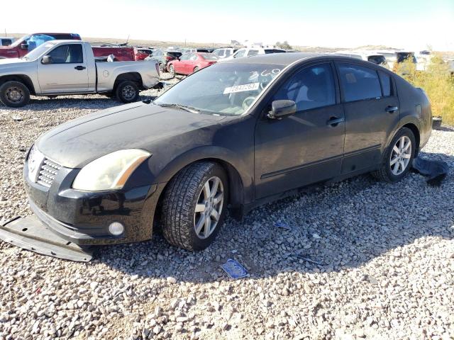 NISSAN MAXIMA SE 2005 with VIN 1N4BA41E25C831471 - Photo from auction