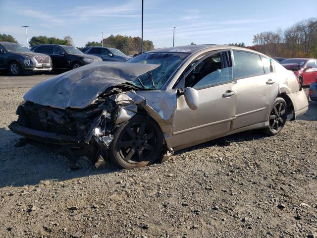 NISSAN MAXIMA SE 2005 with VIN 1N4BA41E45C842438 - Photo from auction
