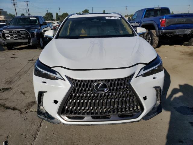 Photo 5 from auction – 2024 LEXUS NX 250 PRE with VIN 2T2GDCAZ4RC012524
