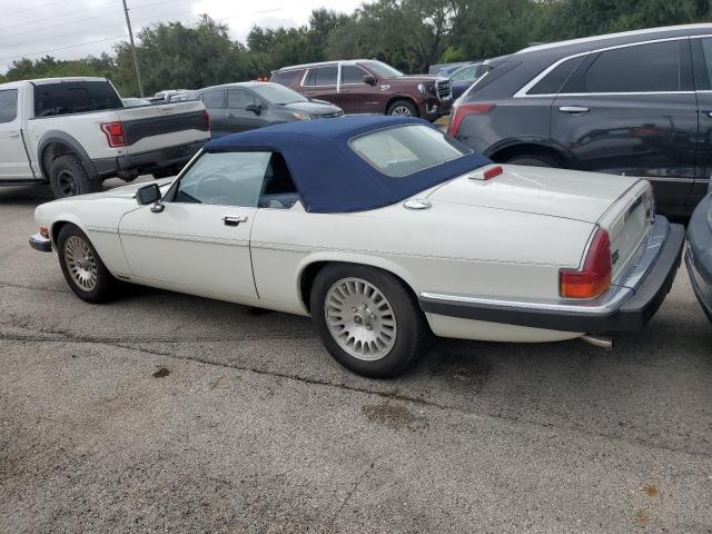 Photo 2 from auction – 1989 JAGUAR XJS with VIN SAJNV4849KC165599