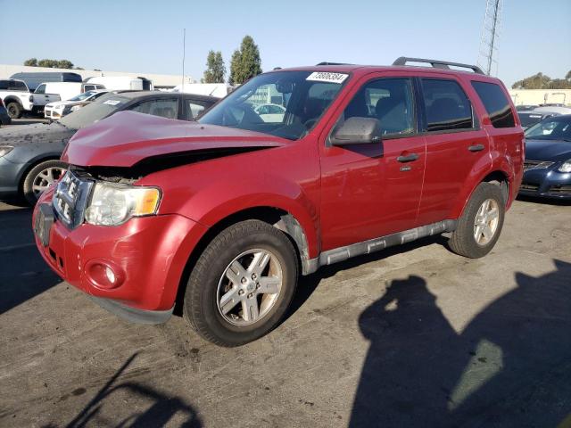 FORD ESCAPE XLT 2010 with VIN 1FMCU0D79AKB19336 - Photo from auction