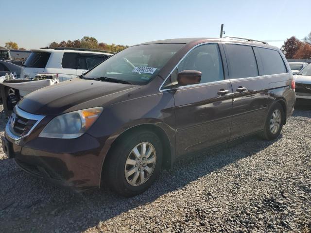 Photo 1 from auction – 2009 HONDA ODYSSEY EX with VIN 5FNRL38669B411040