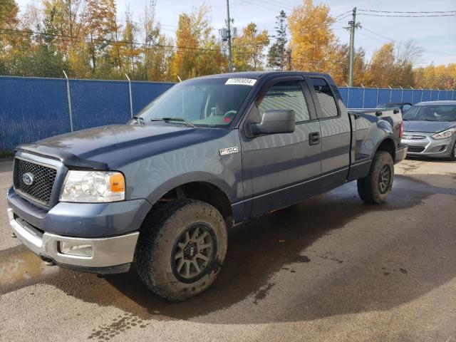 FORD F150 2005 with VIN 1FTRX04W75KC31023 - Photo from auction