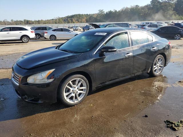 NISSAN MAXIMA S 2010 with VIN 1N4AA5AP1AC822256 - Photo from auction