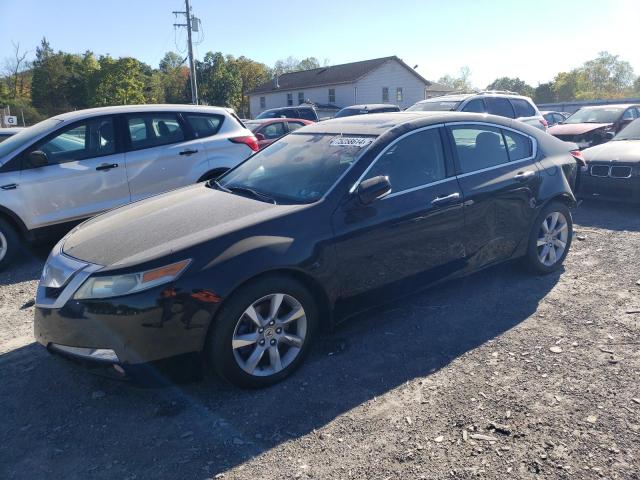 ACURA TL 2010 with VIN 19UUA8F51AA009657 - Photo from auction