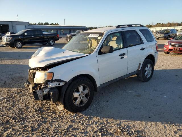 FORD ESCAPE XLT 2011 with VIN 1FMCU0D77BKA45206 - Photo from auction