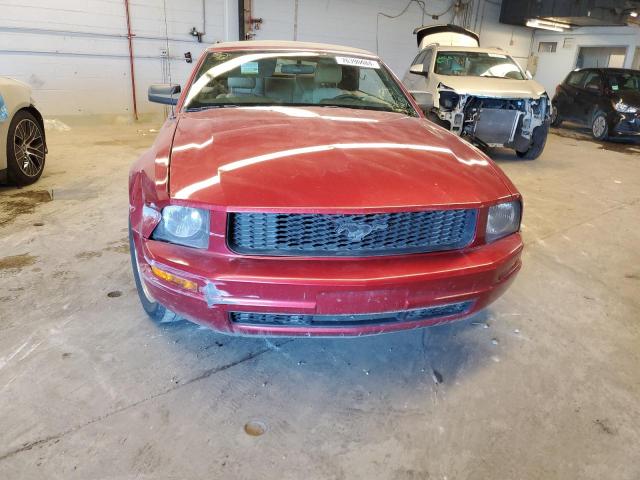Photo 5 from auction – 2005 FORD MUSTANG with VIN 1ZVFT84N855255234