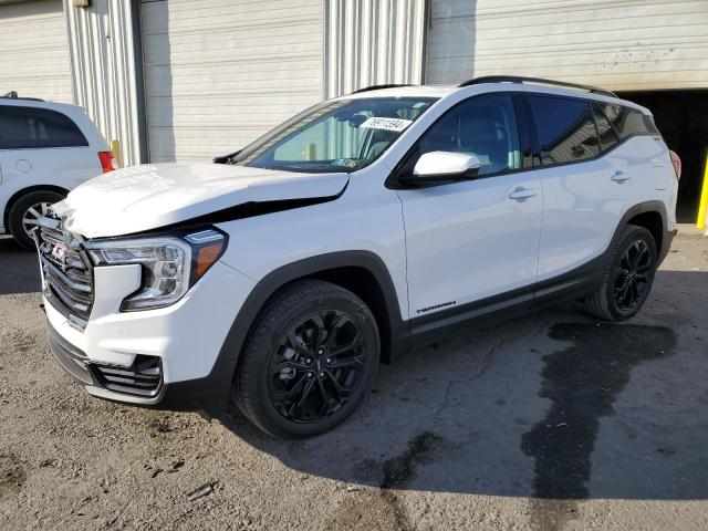 GMC TERRAIN SL 2022 with VIN 3GKALVEVXNL238000 - Photo from auction