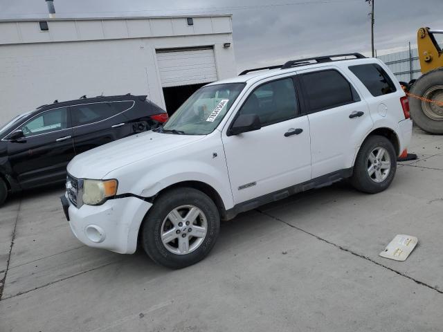 FORD ESCAPE HEV 2008 with VIN 1FMCU59H58KD75577 - Photo from auction
