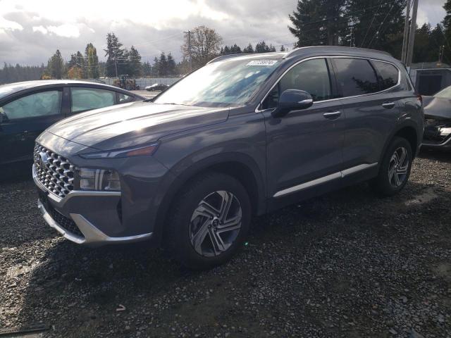 HYUNDAI SANTA FE S 2023 with VIN 5NMS3DAJ7PH650145 - Photo from auction