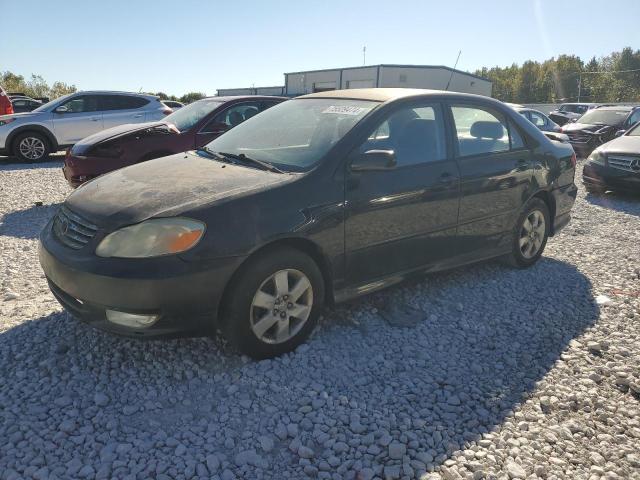 TOYOTA COROLLA CE 2003 with VIN 1NXBR32E23Z069449 - Photo from auction