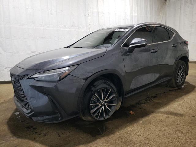 LEXUS NX 250 2023 with VIN 2T2GDCAZXPC003713 - Photo from auction