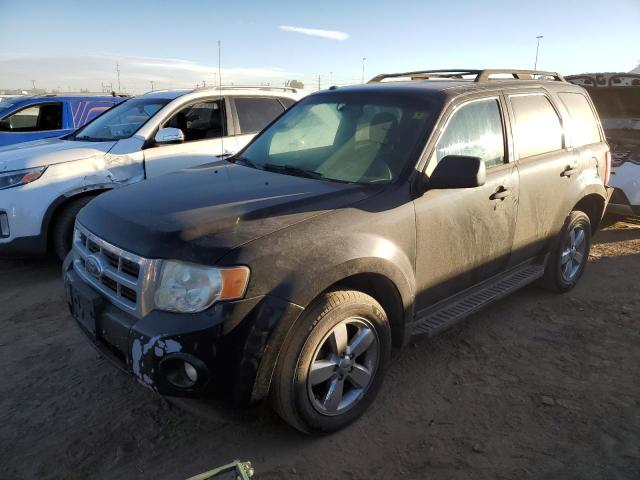 FORD ESCAPE XLT 2009 with VIN 1FMCU03G39KA35462 - Photo from auction