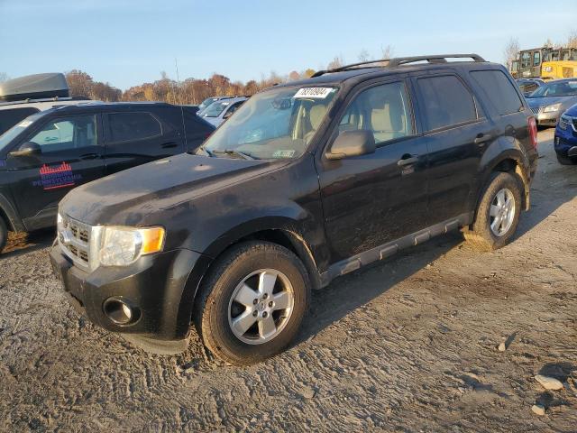 FORD ESCAPE XLT 2012 with VIN 1FMCU0D75CKA38014 - Photo from auction
