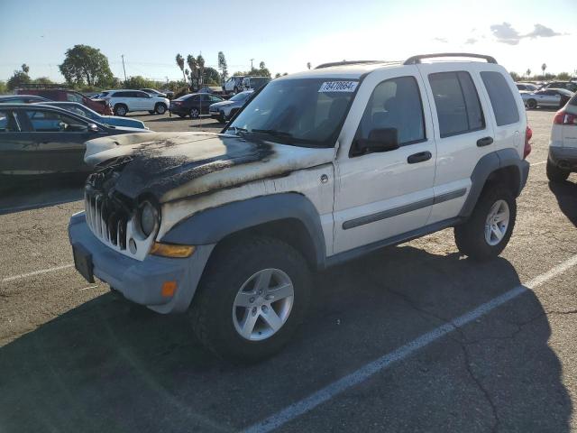 JEEP LIBERTY SP 2005 with VIN 1J4GL48K45W531106 - Photo from auction