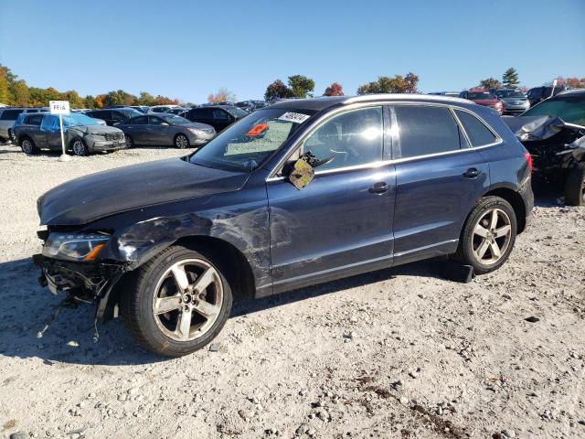 AUDI Q5 PREMIUM 2010 with VIN WA1LKAFP7AA087306 - Photo from auction