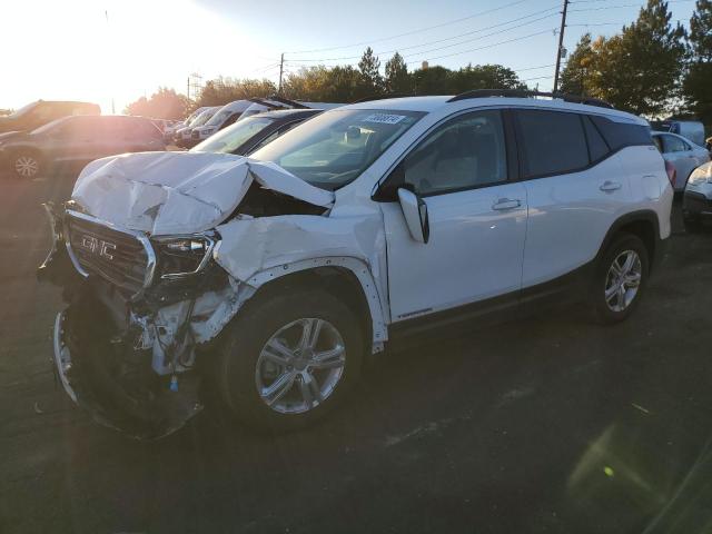 GMC TERRAIN SL 2020 with VIN 3GKALMEV2LL293337 - Photo from auction