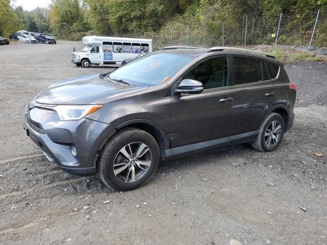 TOYOTA RAV4 XLE 2017 with VIN 2T3WFREV2HW315259 - Photo from auction