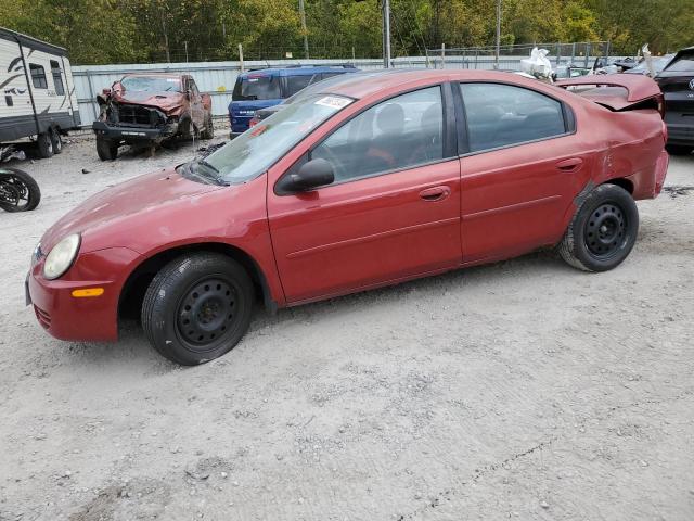 DODGE NEON SXT 2004 with VIN 1B3ES56C84D513897 - Photo from auction