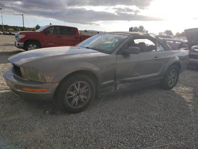 Photo 1 from auction – 2005 FORD MUSTANG with VIN 1ZVFT84N355232153