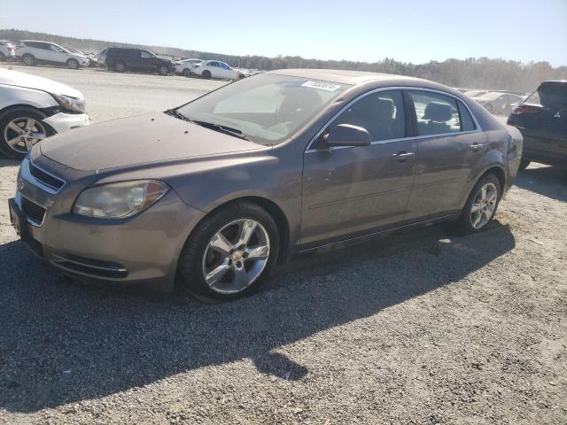 CHEVROLET MALIBU 2LT 2010 with VIN 1G1ZD5EB3AF218640 - Photo from auction