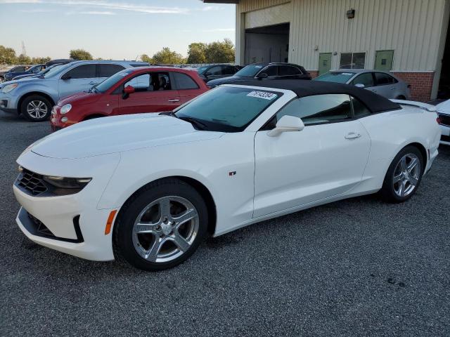 CHEVROLET CAMARO LS 2019 with VIN 1G1FB3DS5K0124181 - Photo from auction