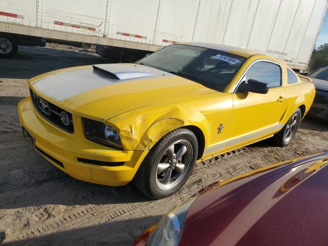 FORD MUSTANG 2006 with VIN 1ZVHT80N265237490 - Photo from auction