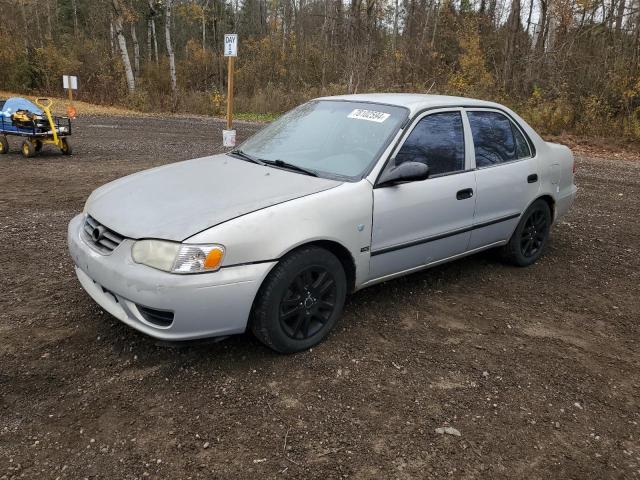TOYOTA COROLLA CE 2001 with VIN 2T1BR12E91C839410 - Photo from auction