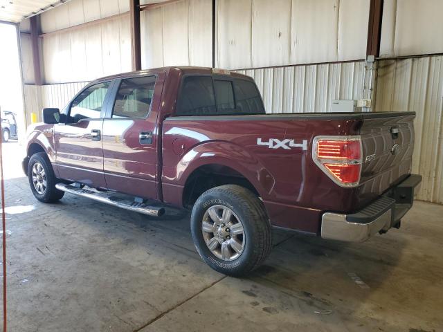 Photo 2 from auction – 2010 FORD F150 SUPER with VIN 1FTFW1EV7AKA83239