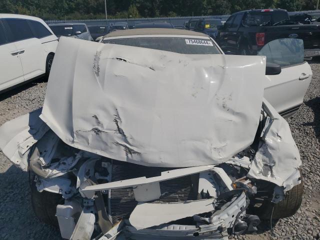 Photo 11 from auction – 2012 FORD MUSTANG with VIN 1ZVBP8EM4C5283148