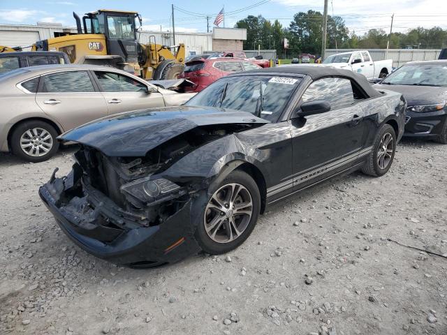 FORD MUSTANG 2014 with VIN 1ZVBP8EM2E5281630 - Photo from auction