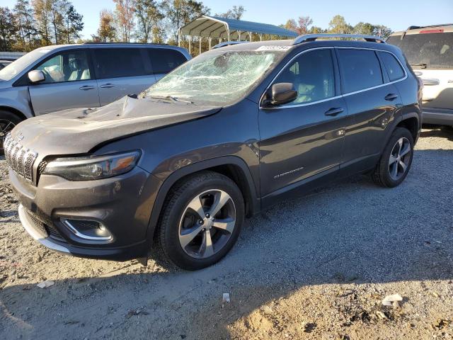 JEEP CHEROKEE L 2019 with VIN 1C4PJLDB5KD396009 - Photo from auction