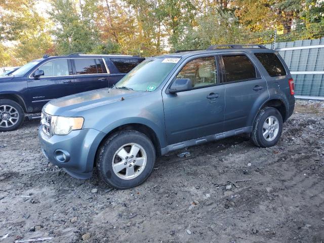 FORD ESCAPE XLT 2010 with VIN 1FMCU9DG5AKC81324 - Photo from auction