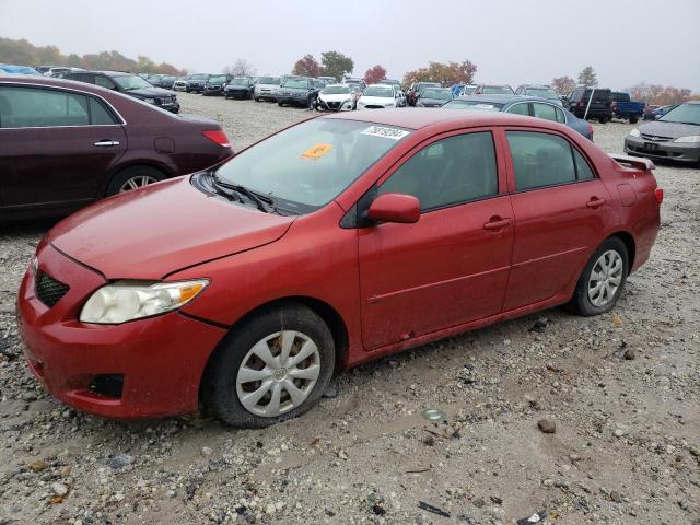 TOYOTA COROLLA BA 2009 with VIN JTDBL40E999032635 - Photo from auction