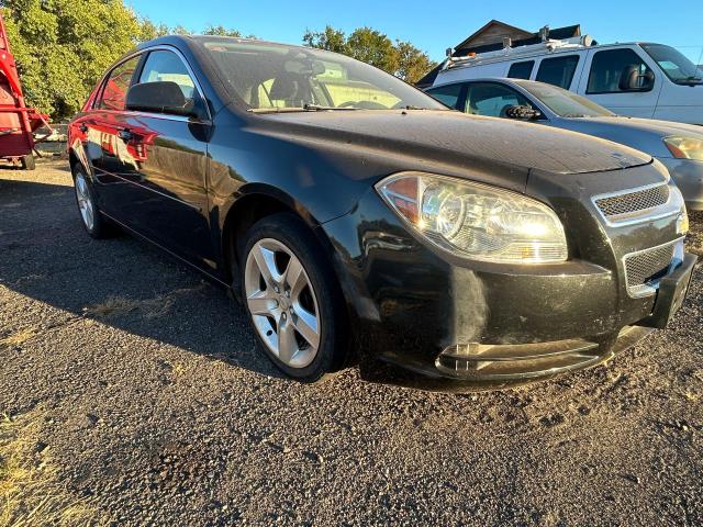 CHEVROLET MALIBU LS 2012 with VIN 1G1ZB5E07CF341221 - Photo from auction
